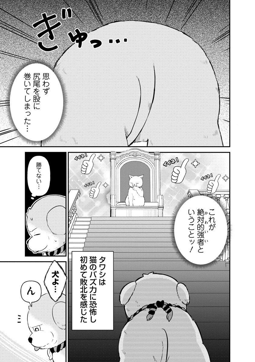 犬神様はバズりたい 第2話 - 9