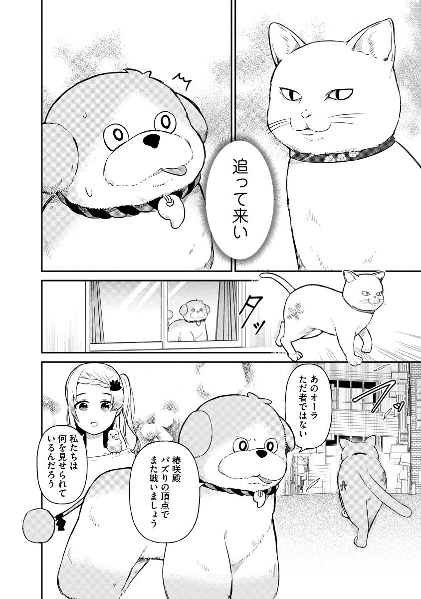 犬神様はバズりたい 第2話 - 10