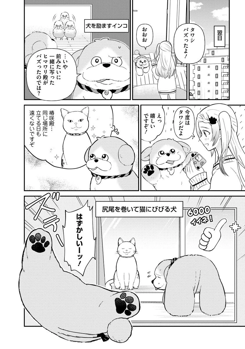 犬神様はバズりたい 第2話 - 12