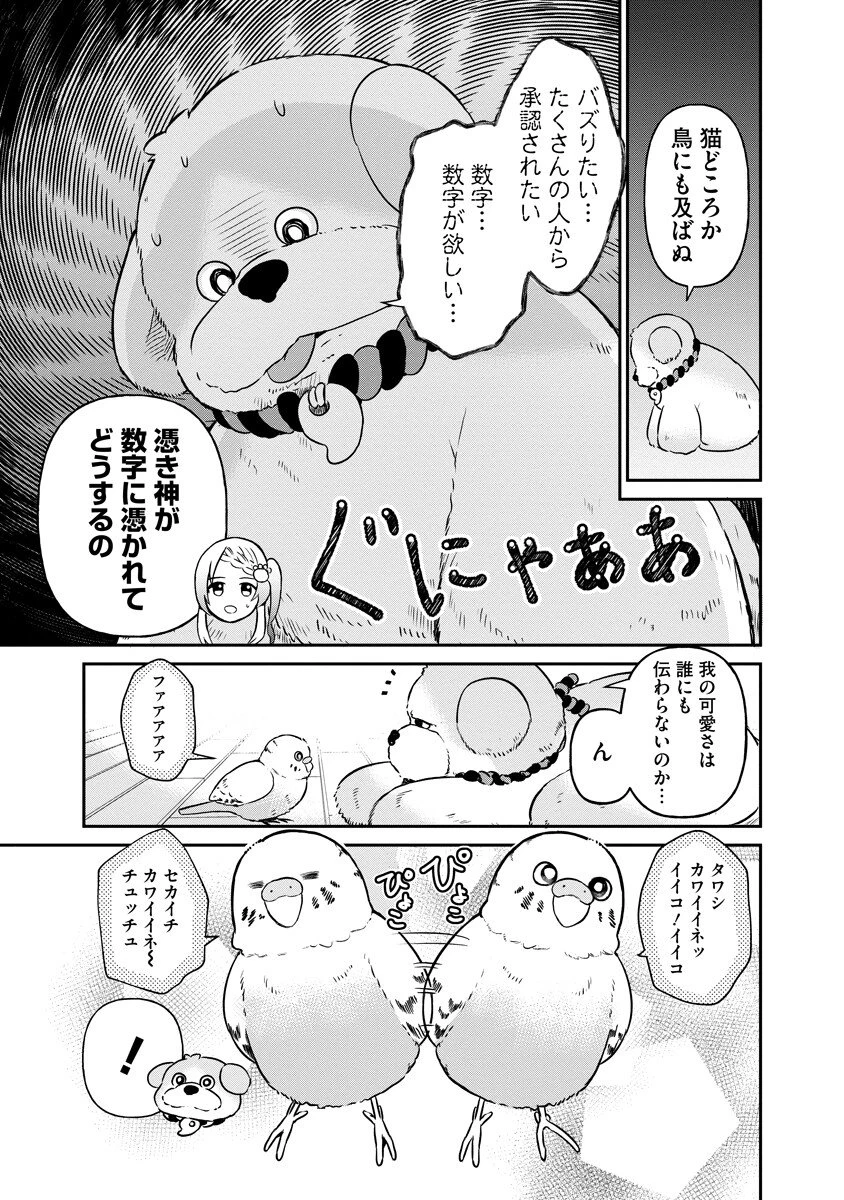 犬神様はバズりたい 第1話 - 9