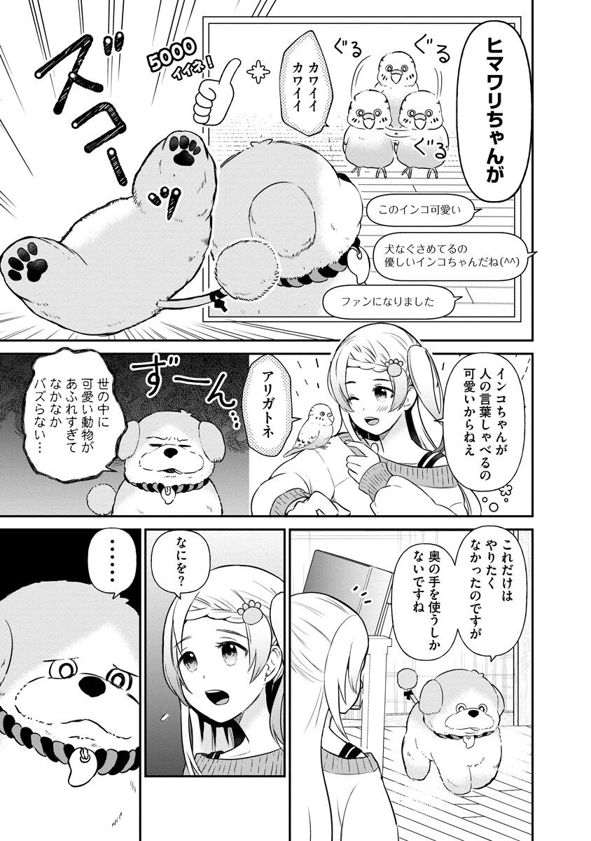 犬神様はバズりたい 第1話 - 11