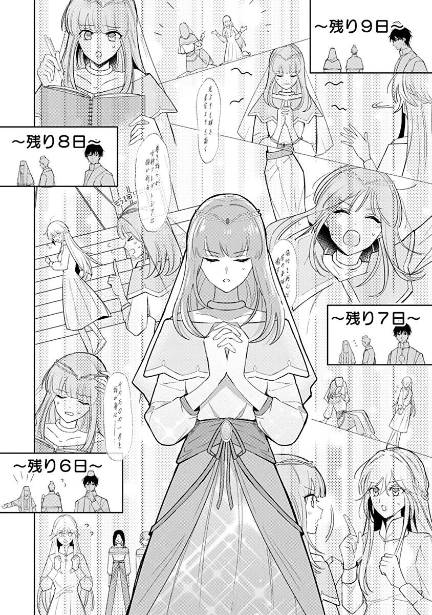 用済み聖女と毒殺軍師 ～毒の浄化ができる奇跡の聖女は私だけらしいです～ 第6話 - 14