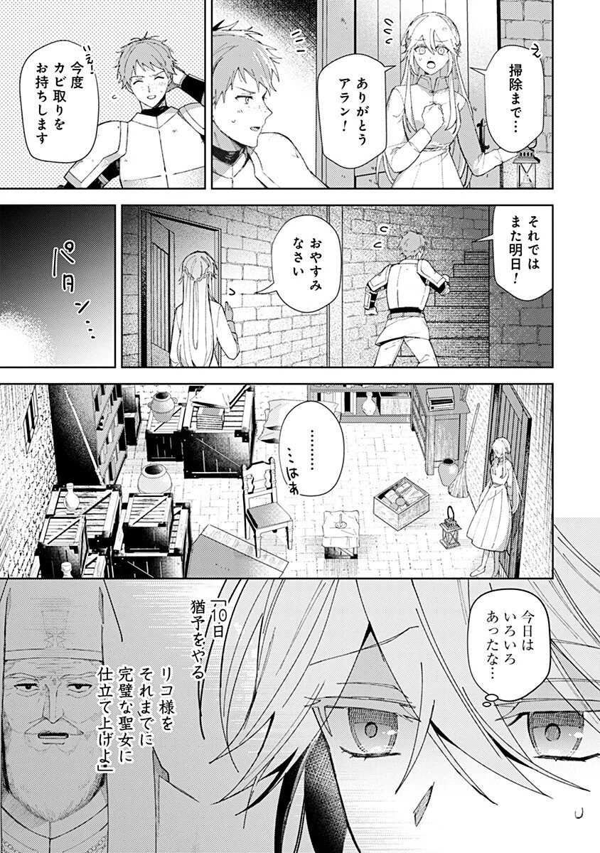 用済み聖女と毒殺軍師 ～毒の浄化ができる奇跡の聖女は私だけらしいです～ 第5話 - 11