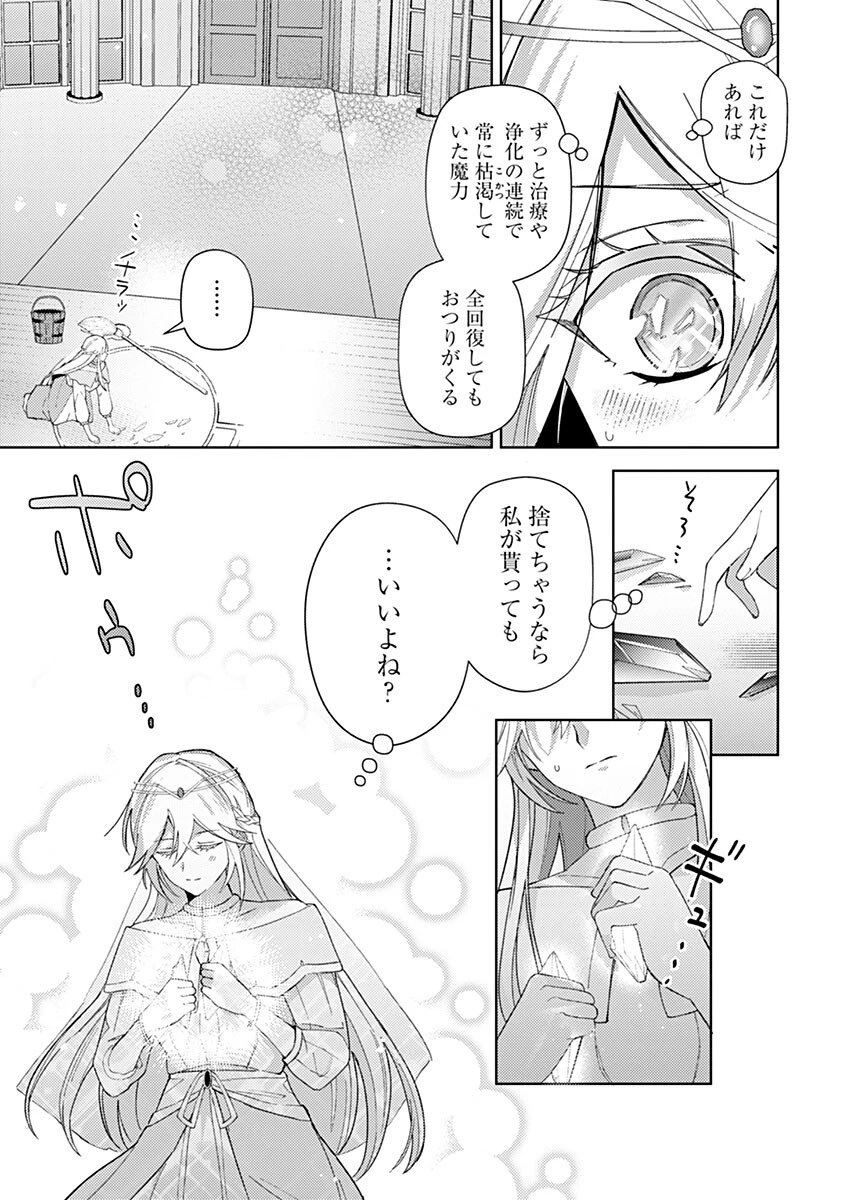 用済み聖女と毒殺軍師 ～毒の浄化ができる奇跡の聖女は私だけらしいです～ 第4話 - 7