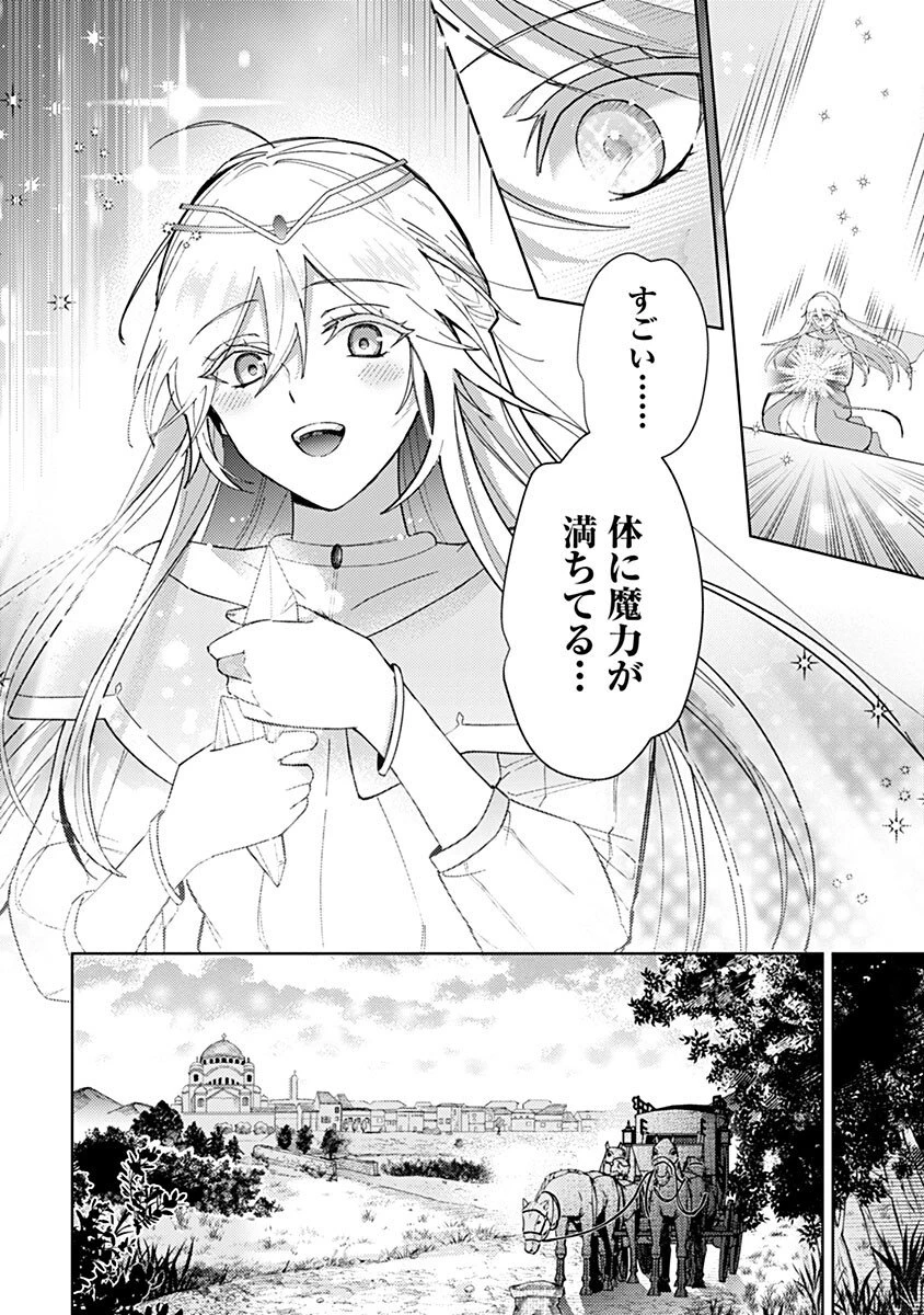 用済み聖女と毒殺軍師 ～毒の浄化ができる奇跡の聖女は私だけらしいです～ 第4話 - 8