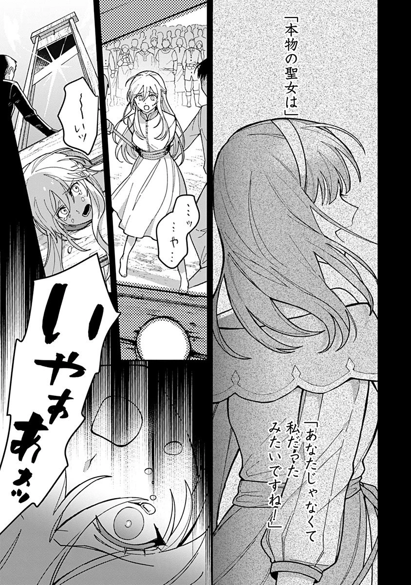 用済み聖女と毒殺軍師 ～毒の浄化ができる奇跡の聖女は私だけらしいです～ 第1話 - 11