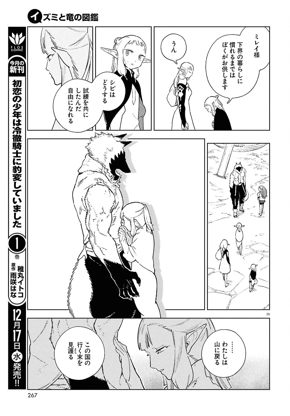 イズミと竜の図鑑 第17.4話 - 35
