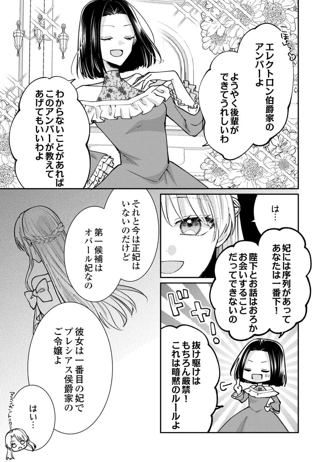 お飾りの側妃ですね?わかりました。どうぞ私のことは放っといてください! 第2話 - 19