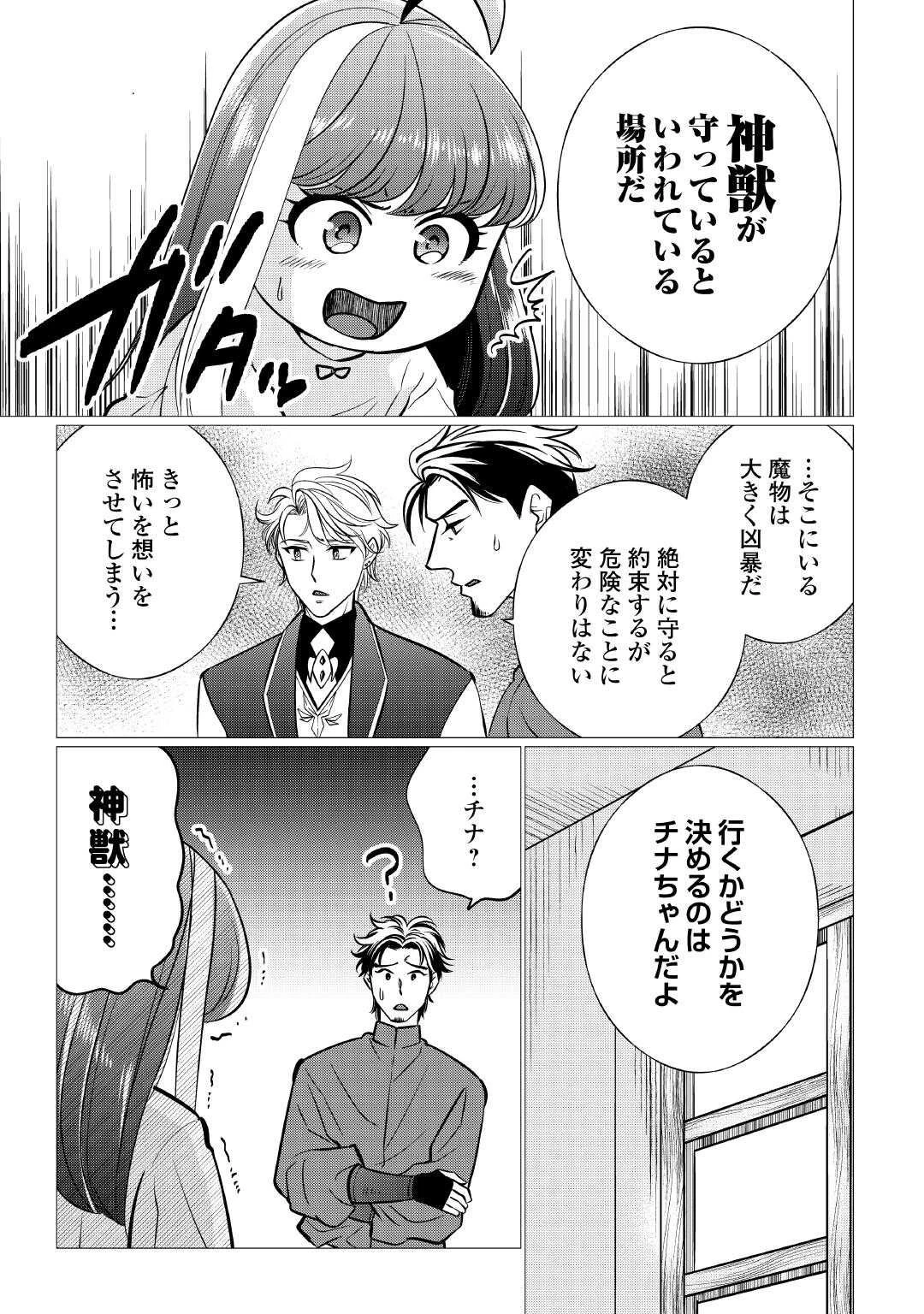 夢のテンプレ幼女転生、はじめました。 憧れののんびり冒険者生活を送ります 第3話 - 13