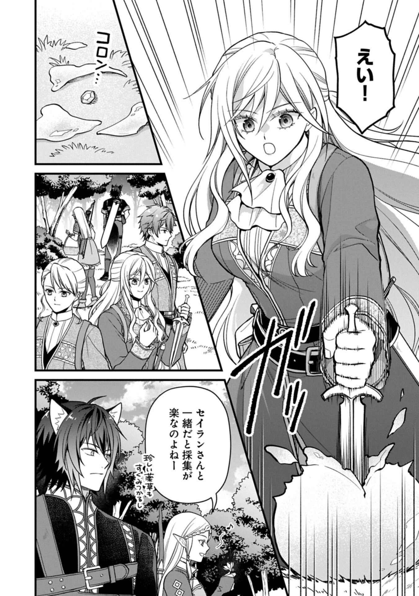 婚約解消のち、お引越し。セイラン・リゼルの気ままで優雅な生活。～才色兼備の転生令嬢は前世チートで自由を満喫します～ 第5.2話 - 12