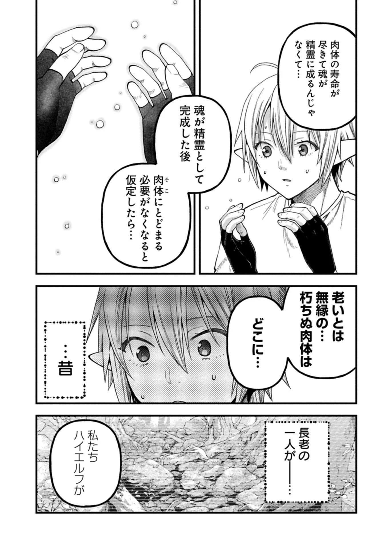 転生してハイエルフになりましたが、スローライフは120年で飽きました 第45.2話 - 7