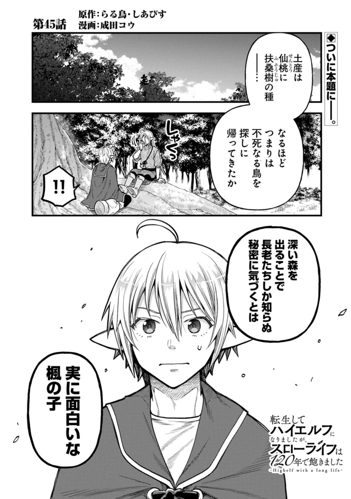 転生してハイエルフになりましたが、スローライフは120年で飽きました 第45話 - 1