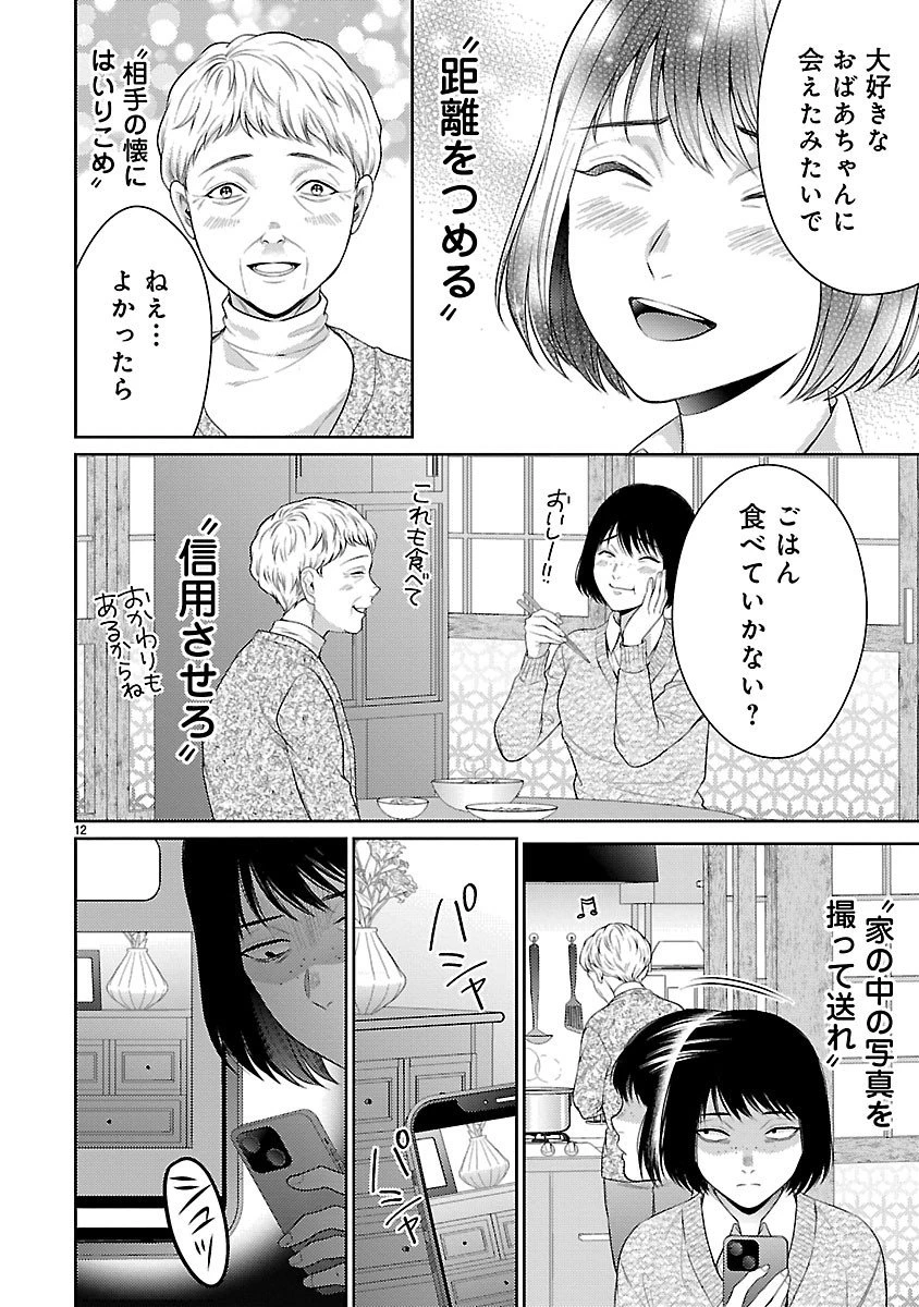 わたしが罪を犯す理由～闇バイトにハマる女たち～ 第3話 - 12