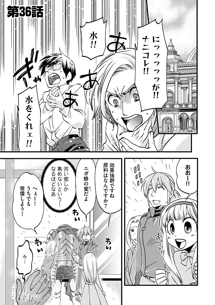 馬小屋暮らしのご令嬢は案外領主に向いている？ 第36.1話 - 1