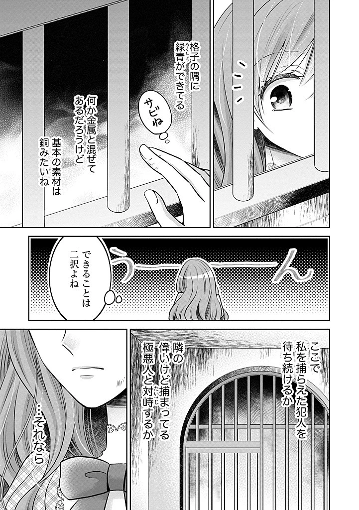 美形王子が苦手な破天荒モブ令嬢は自分らしく生きていきたい！ 第28.1話 - 5