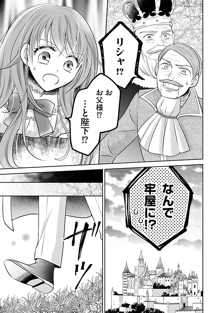 美形王子が苦手な破天荒モブ令嬢は自分らしく生きていきたい！ 第28.1話 - 9