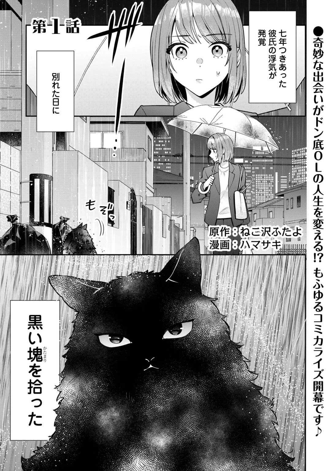 拾ったのが本当に猫かは疑わしい 第1話 - 1
