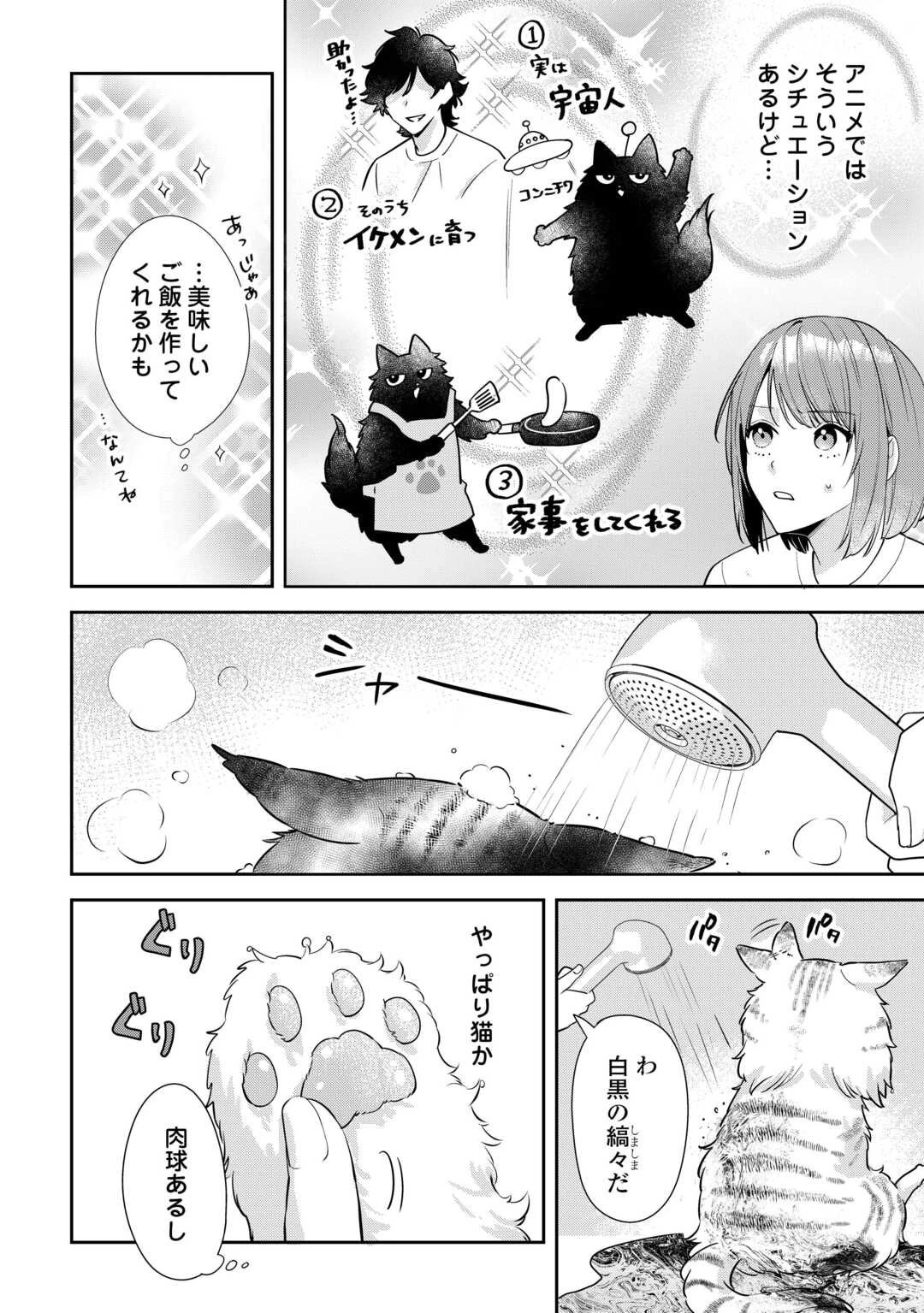 拾ったのが本当に猫かは疑わしい 第1話 - 4