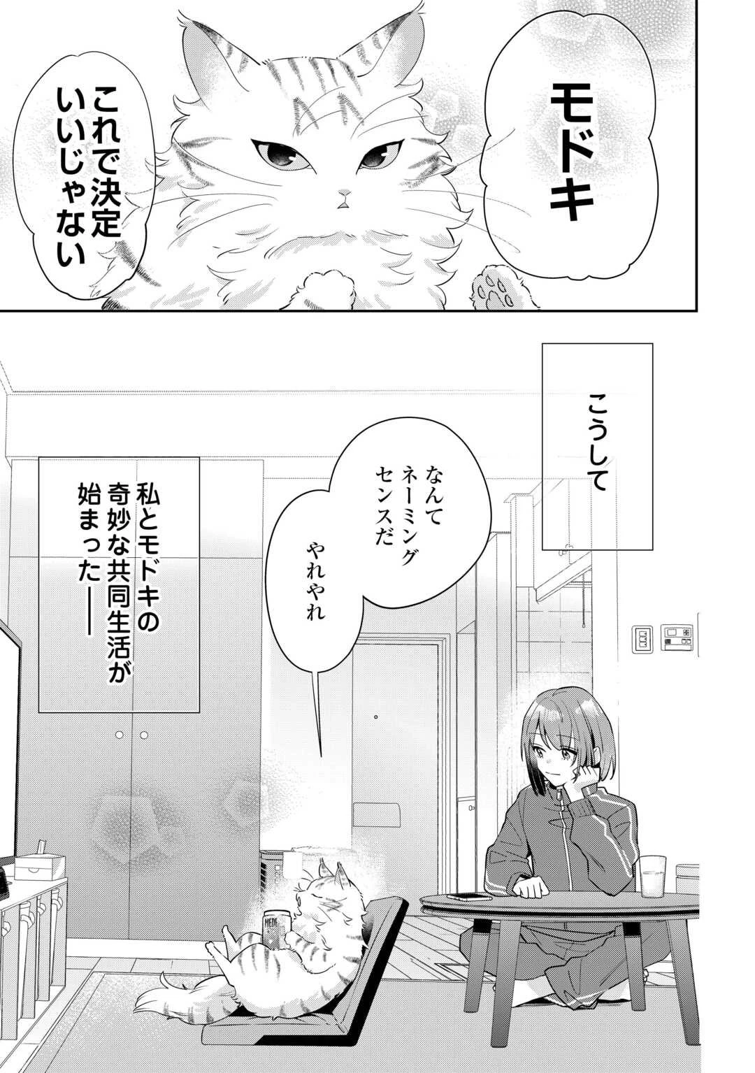 拾ったのが本当に猫かは疑わしい 第1話 - 17