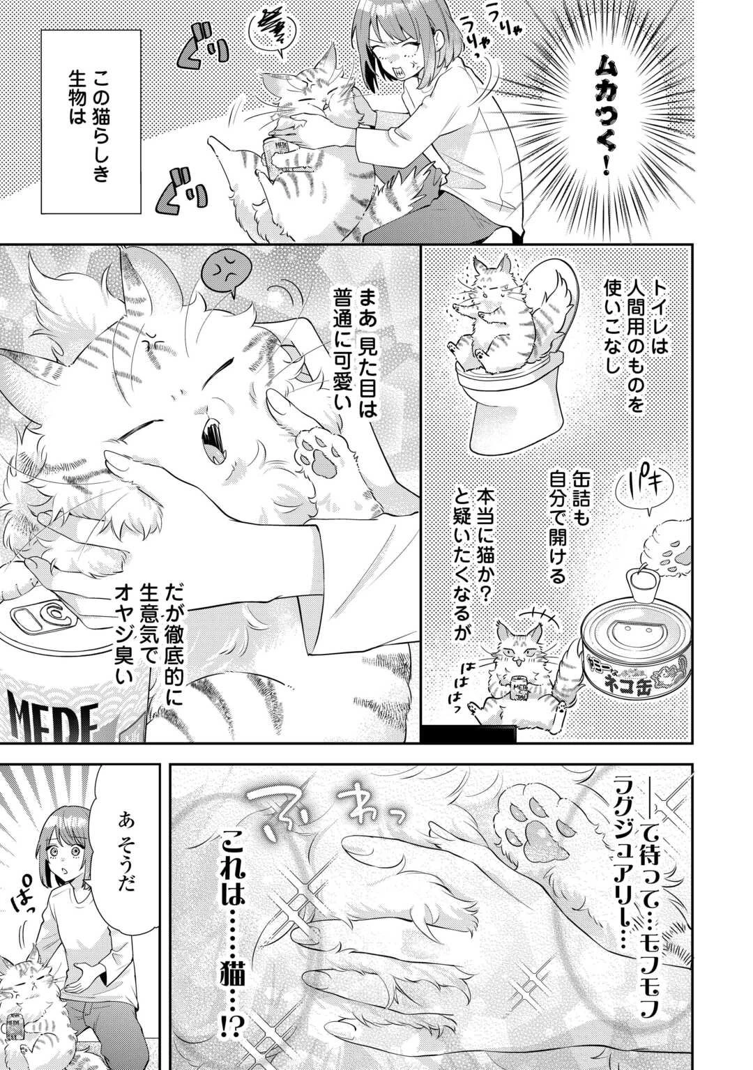 拾ったのが本当に猫かは疑わしい 第1話 - 27