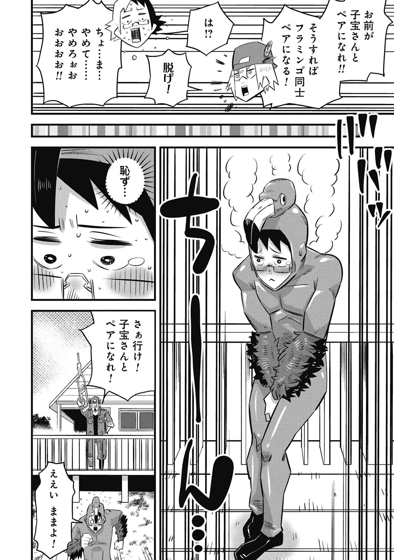 子宝さんのオトナな動物図鑑 第2.2話 - 8