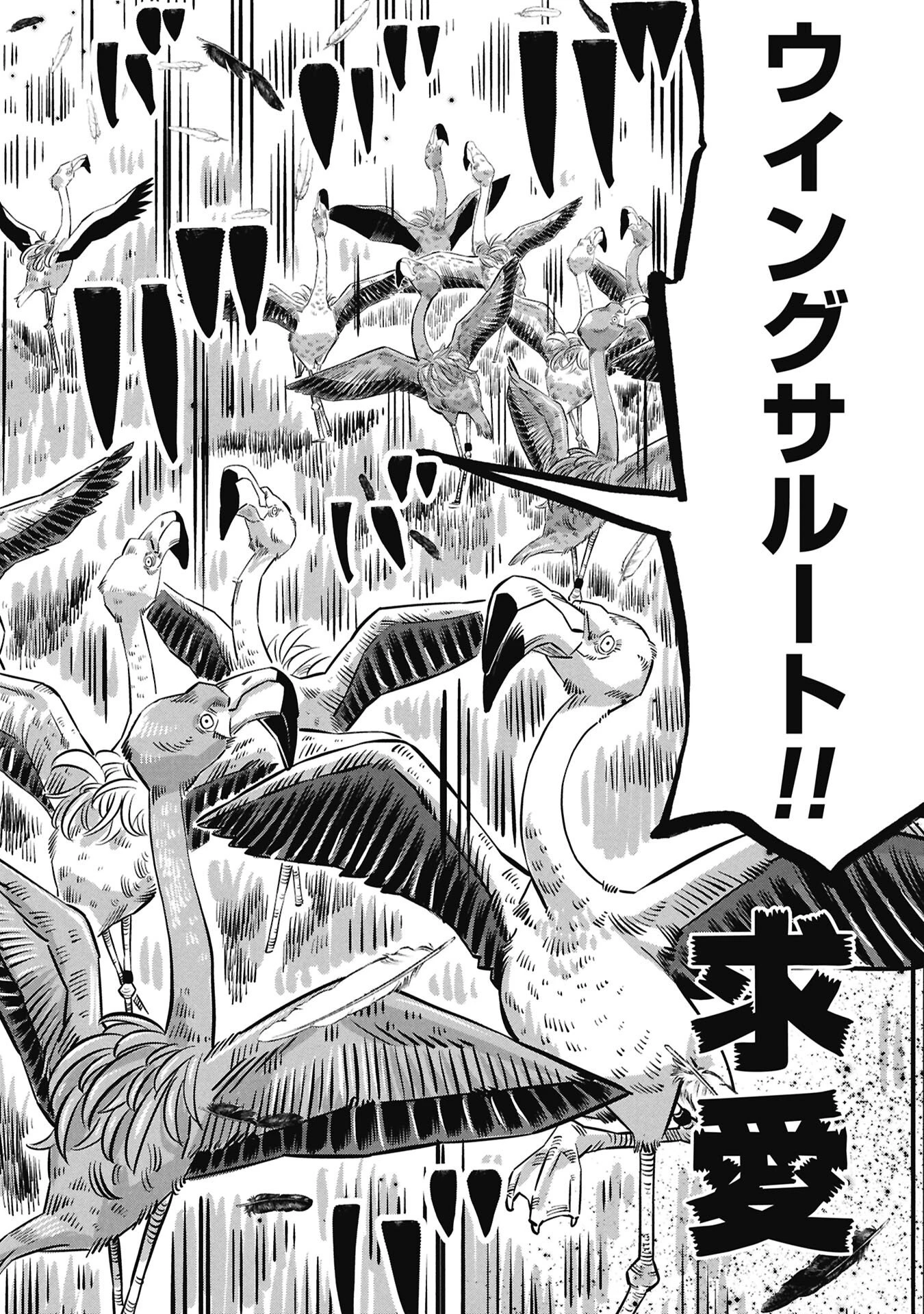 子宝さんのオトナな動物図鑑 第2.2話 - 14