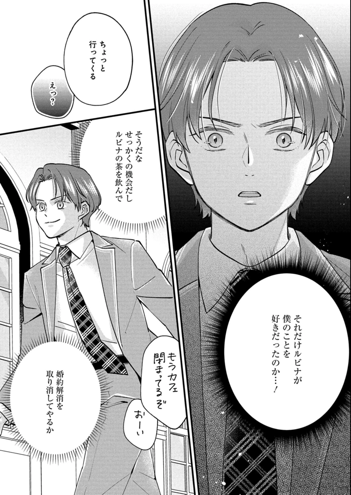 忠誠心がないと言われたので婚約を解消してあげました。 第9.2話 - 6