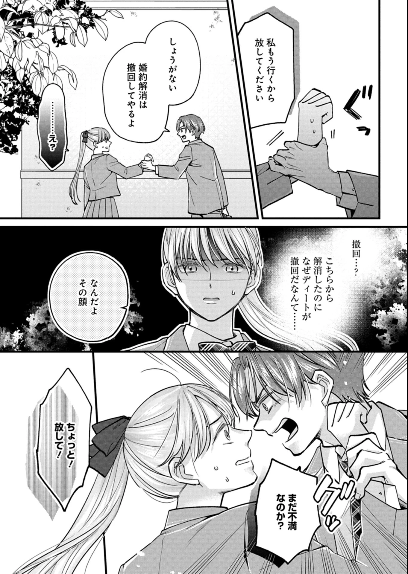 忠誠心がないと言われたので婚約を解消してあげました。 第9.2話 - 13