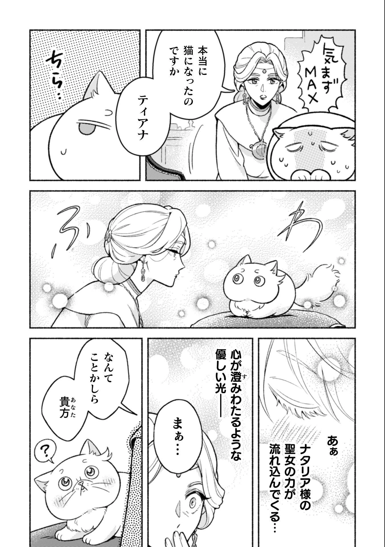 根暗騎士による溺愛満喫中のブサ猫、実は聖女です! 第9話 - 17