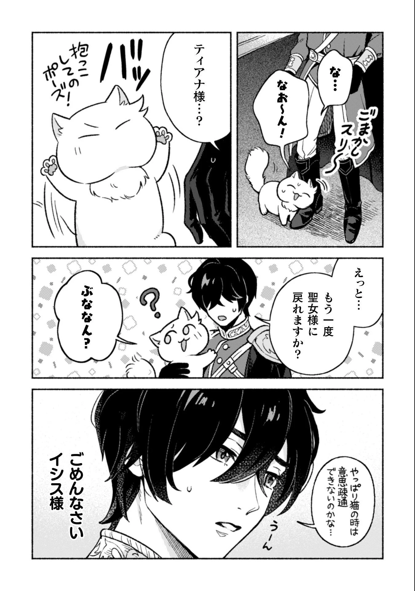 根暗騎士による溺愛満喫中のブサ猫、実は聖女です! 第9話 - 35