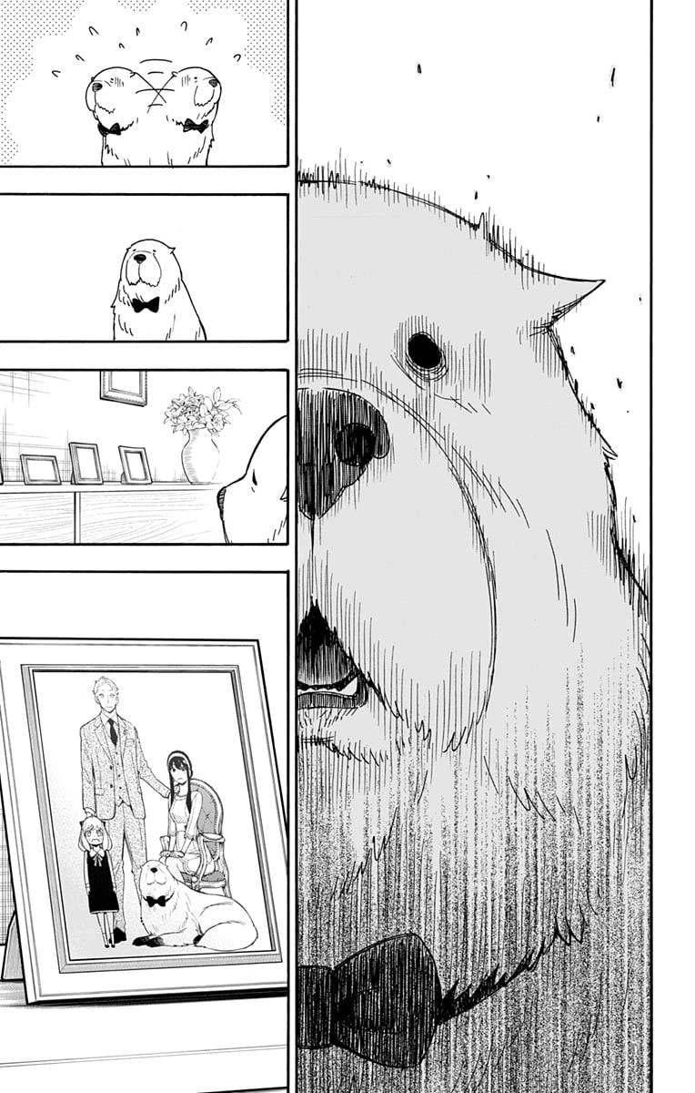 SPY×FAMILY 第40話 - 5