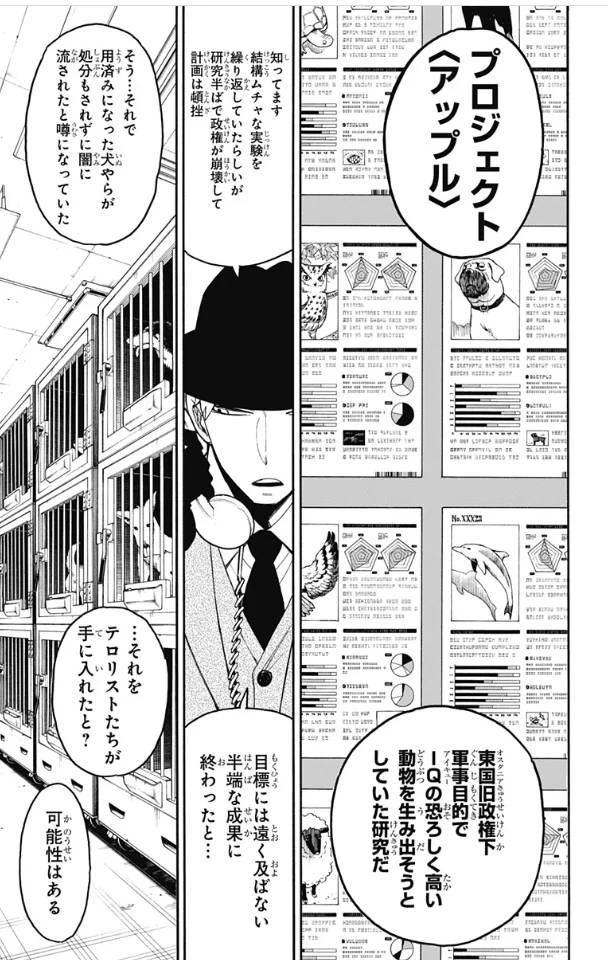 SPY×FAMILY 第19話 - 8