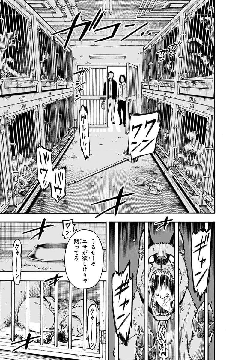 SPY×FAMILY 第17話 - 17