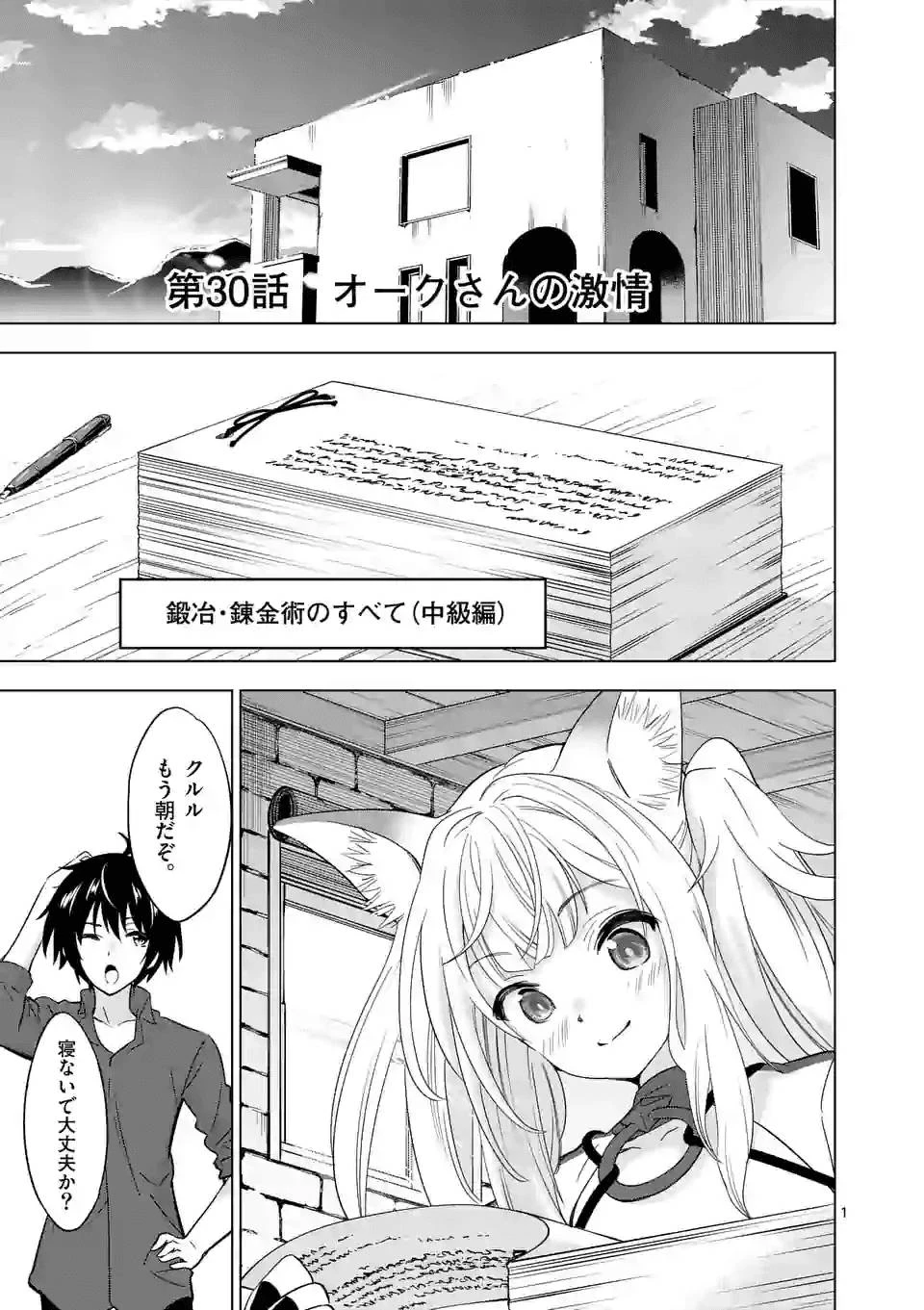 史上最強オークさんの楽しい異世界ハーレムづくり 第30話 - 1