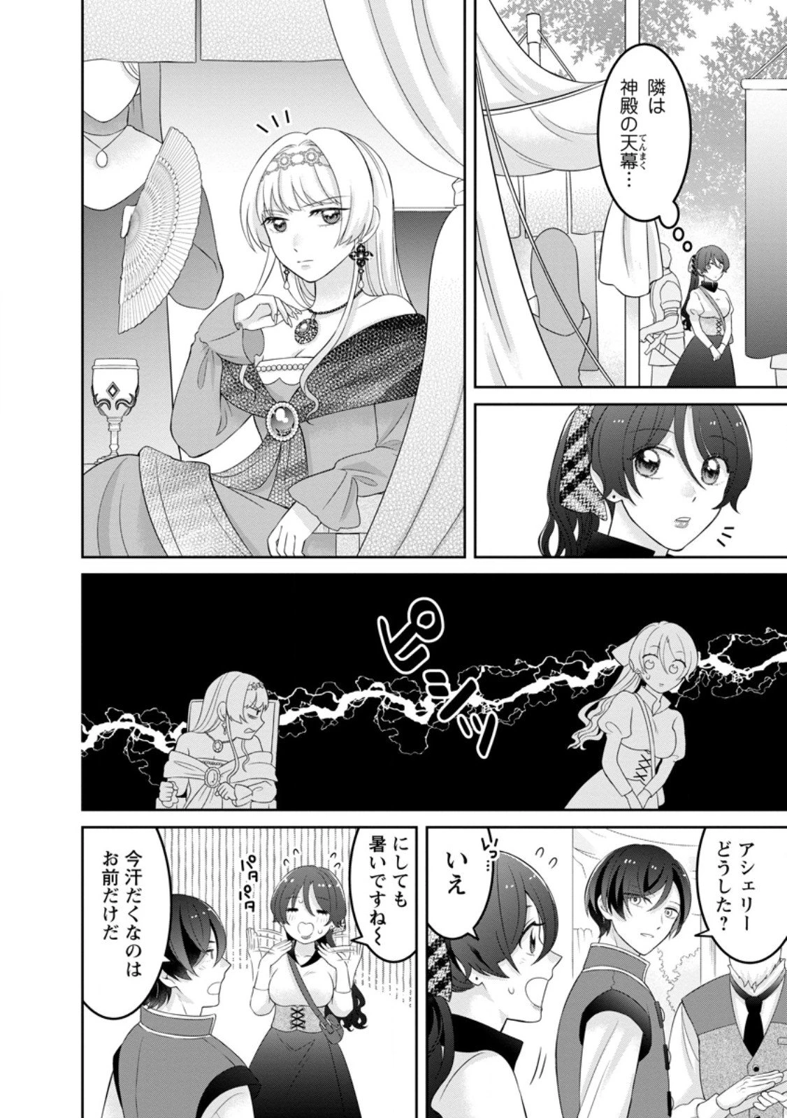 前世の記憶を取り戻したので最愛の夫と離縁します～悪女と評判でしたが天才治癒師として開花したら、なぜか聖女が自爆しました～ 第6.1話 - 10