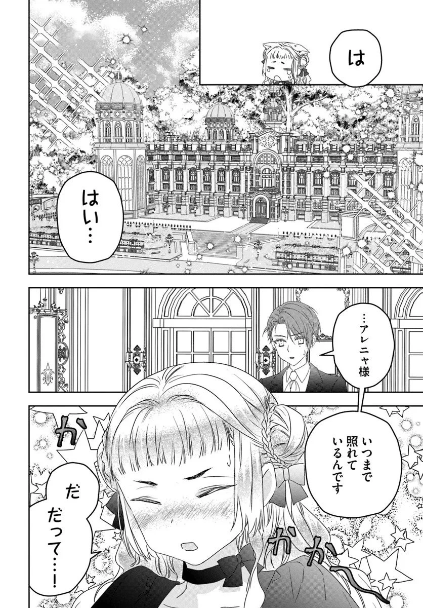 猫かぶりのお姫様 第9.5話 - 2