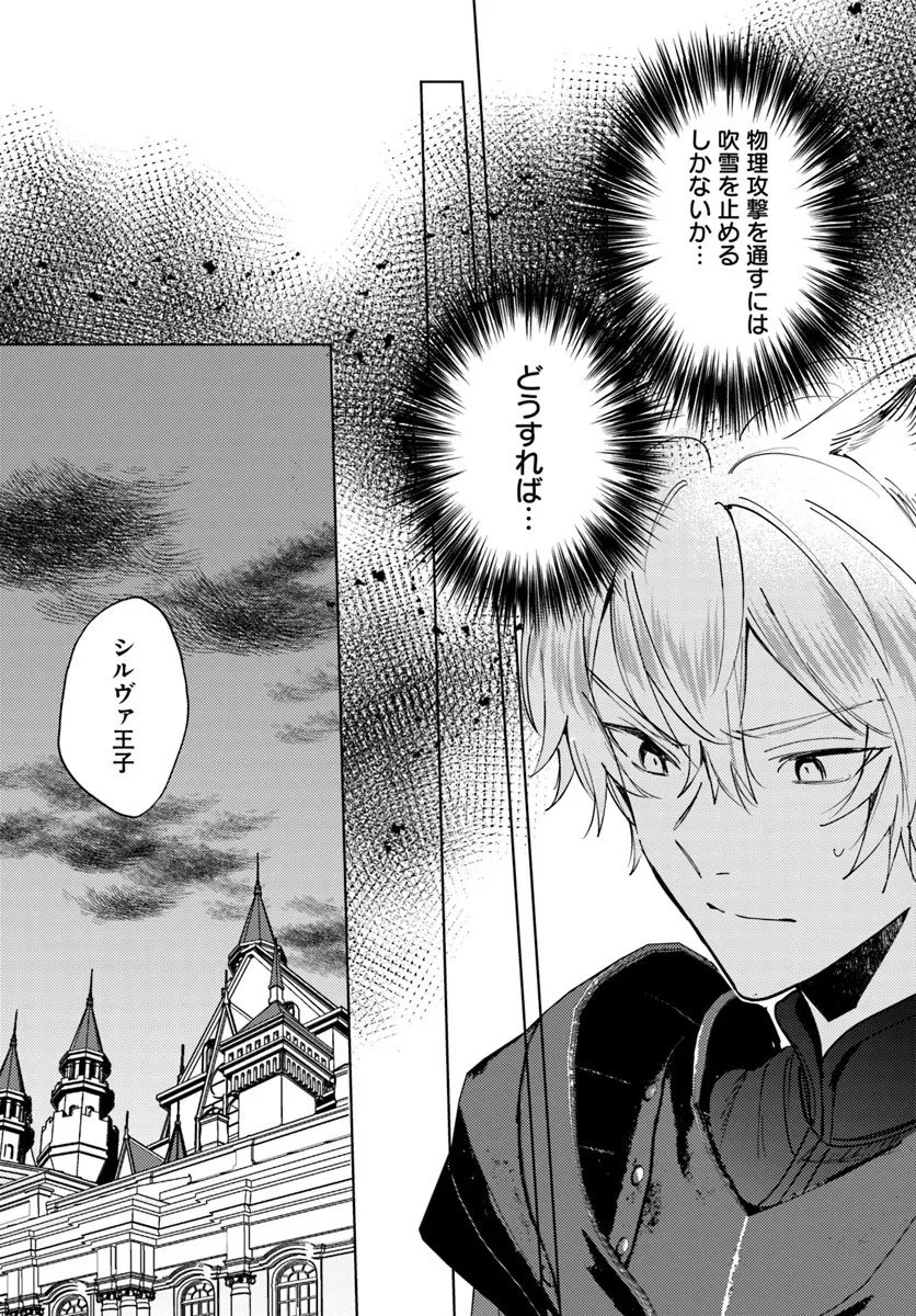 追放聖女は獣人の国で楽しく暮らしています ~自作の薬と美味しいご飯で人質生活も快適です!?~ 第11.1話 - 5