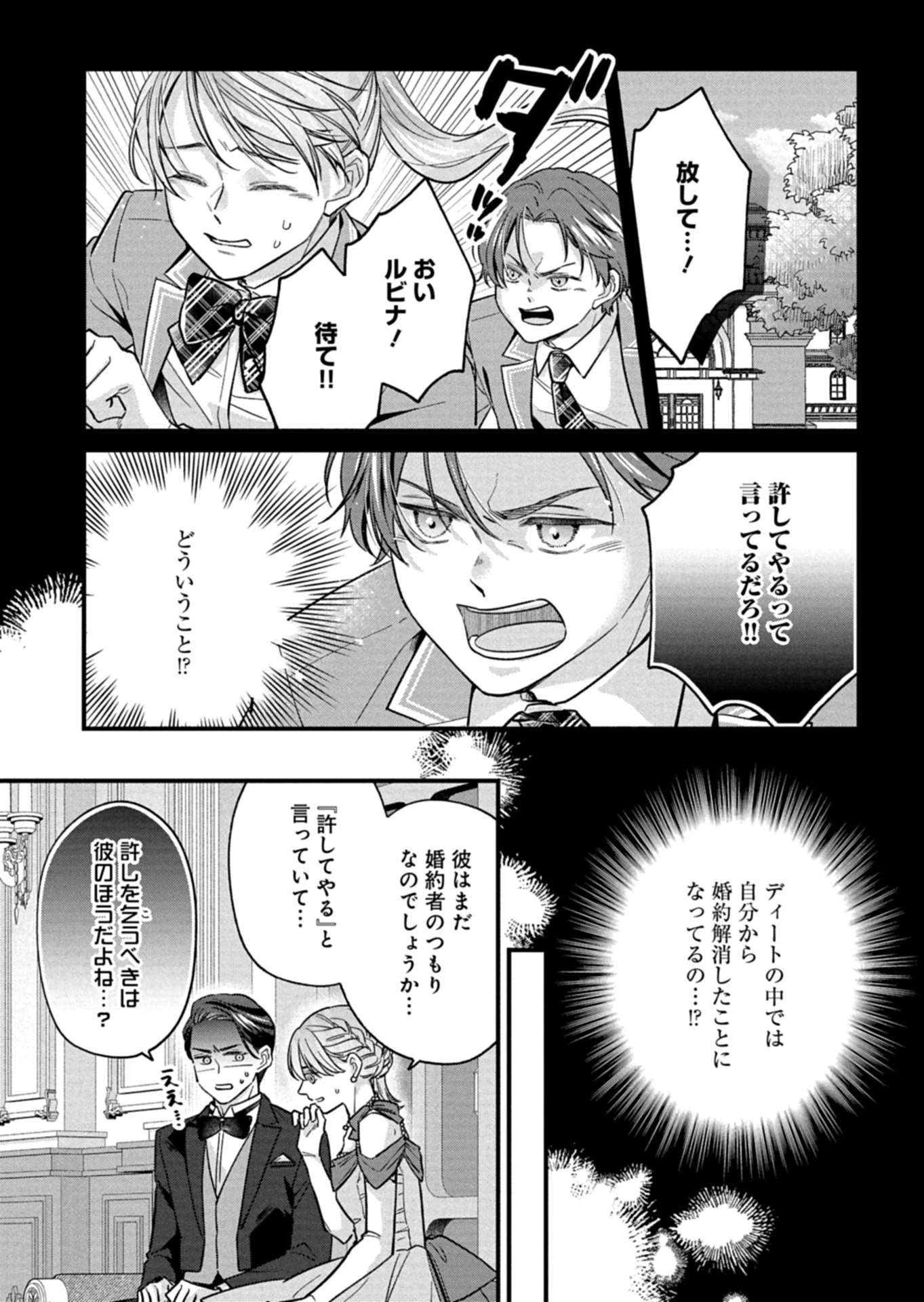 忠誠心がないと言われたので婚約を解消してあげました。 第11.1話 - 5