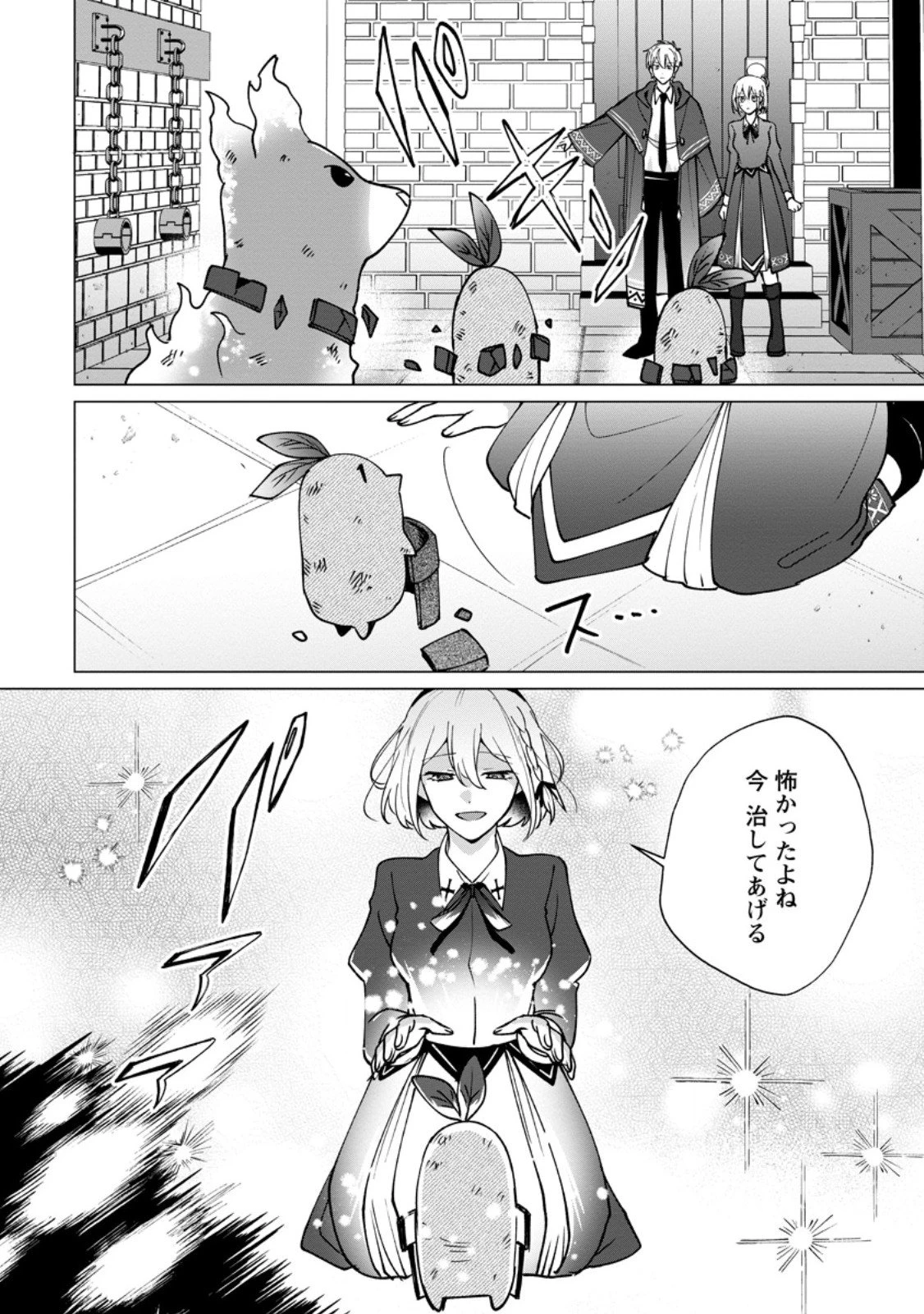 捨てられ聖女のもふもふ保護活動〜天才魔法使いと幻獣たちに愛されて幸せになります〜 第6.2話 - 6