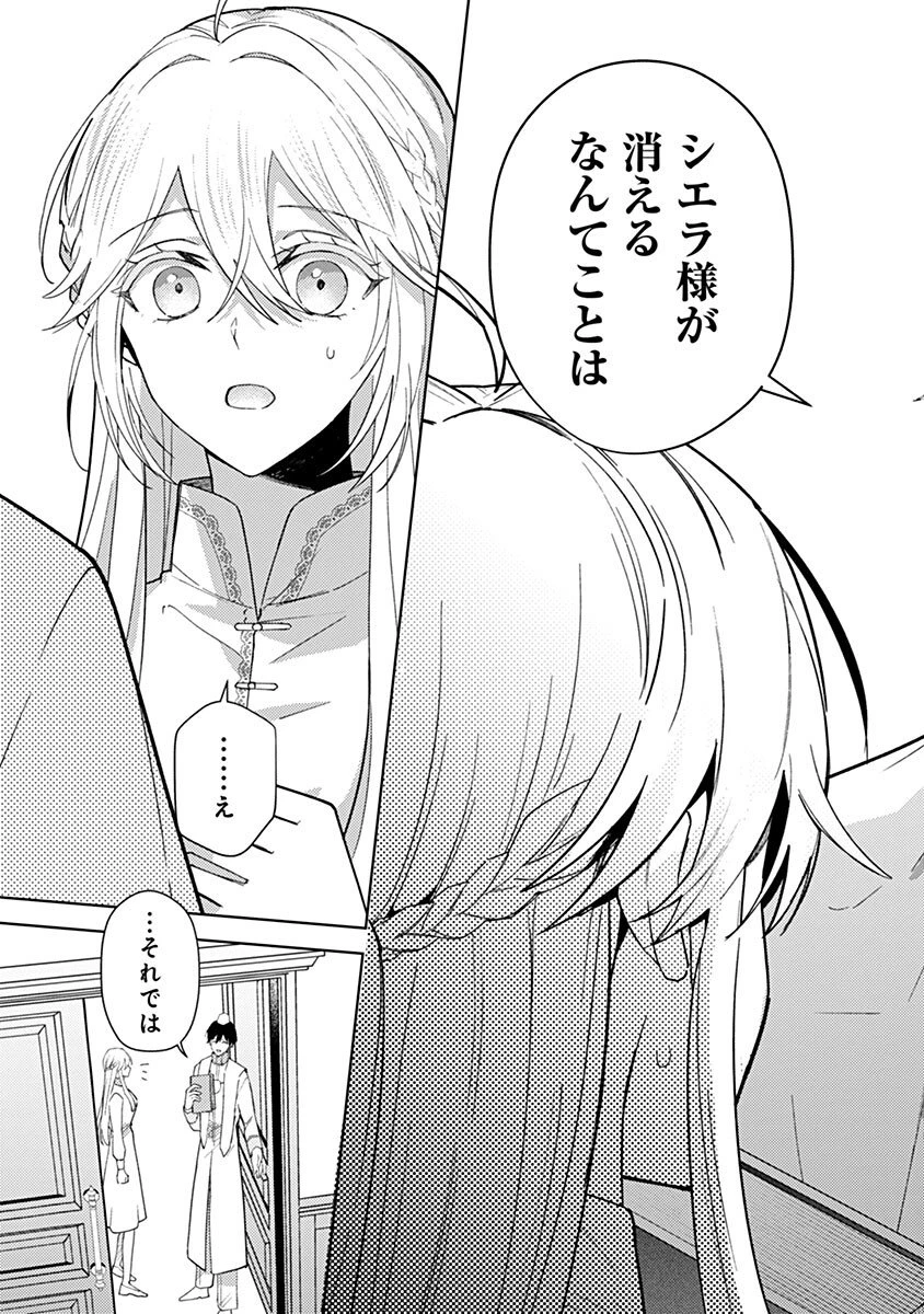 用済み聖女と毒殺軍師 ～毒の浄化ができる奇跡の聖女は私だけらしいです～ 第10話 - 13