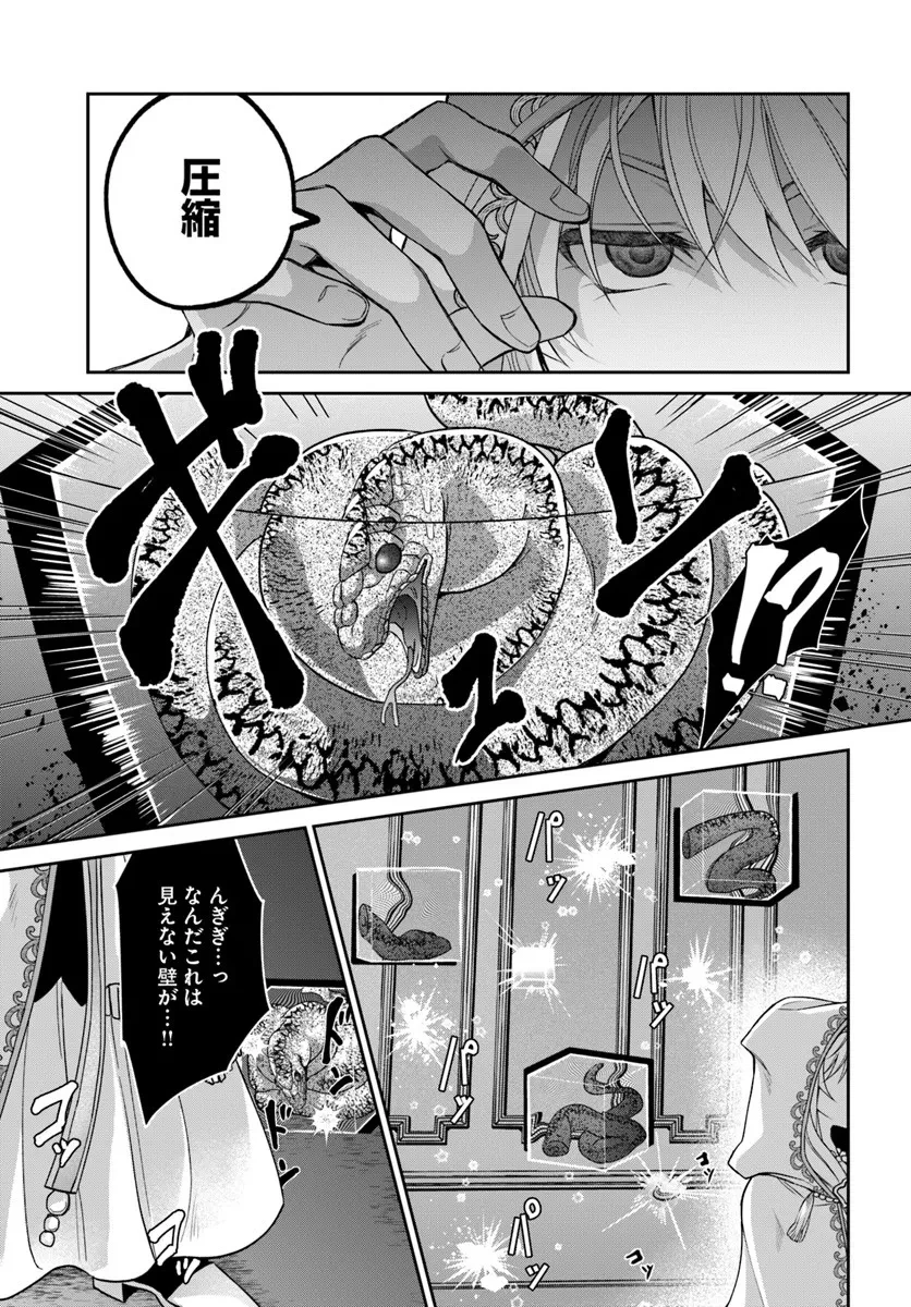 Shoutai wo Kakushite Yarinaosu 亜空の聖女 亜空の聖女 〜妹に濡れ衣を着せられた最強魔術師は、正体を隠してやり直す〜 第21.2話 - 6