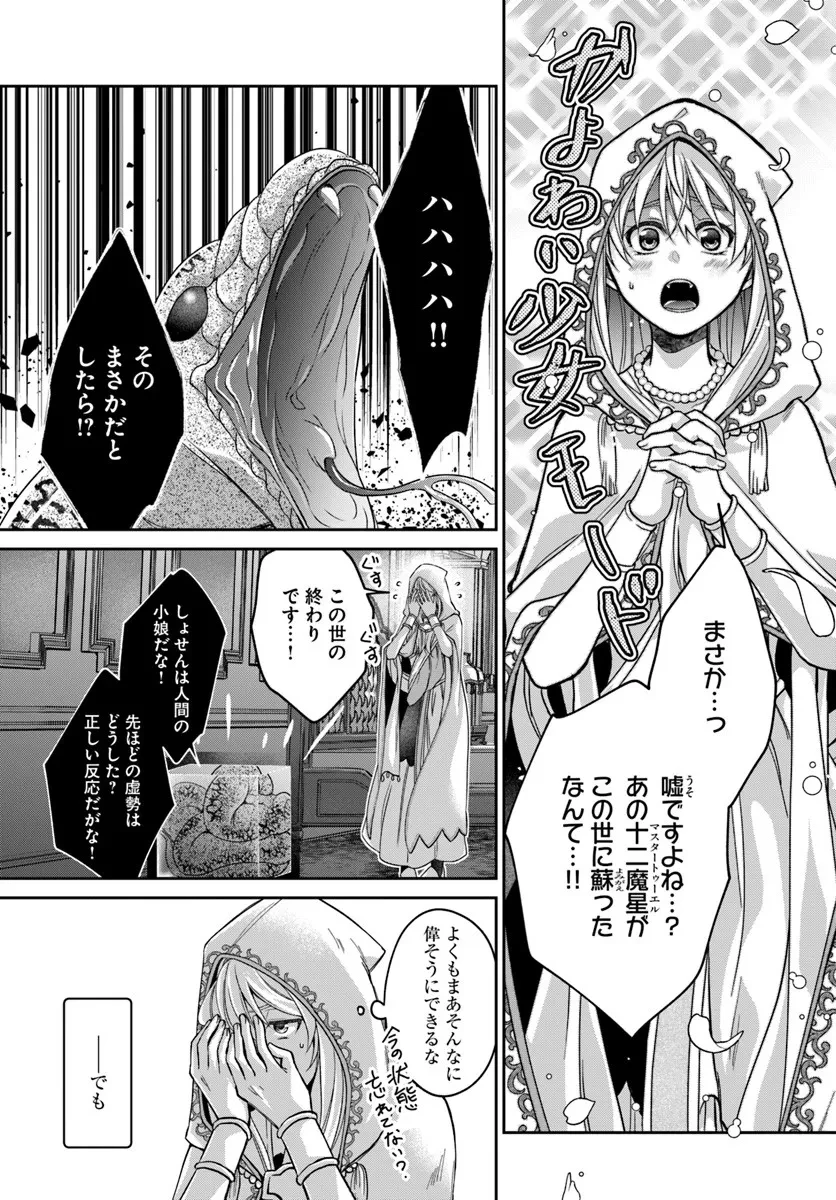 Shoutai wo Kakushite Yarinaosu 亜空の聖女 亜空の聖女 〜妹に濡れ衣を着せられた最強魔術師は、正体を隠してやり直す〜 第21.2話 - 12