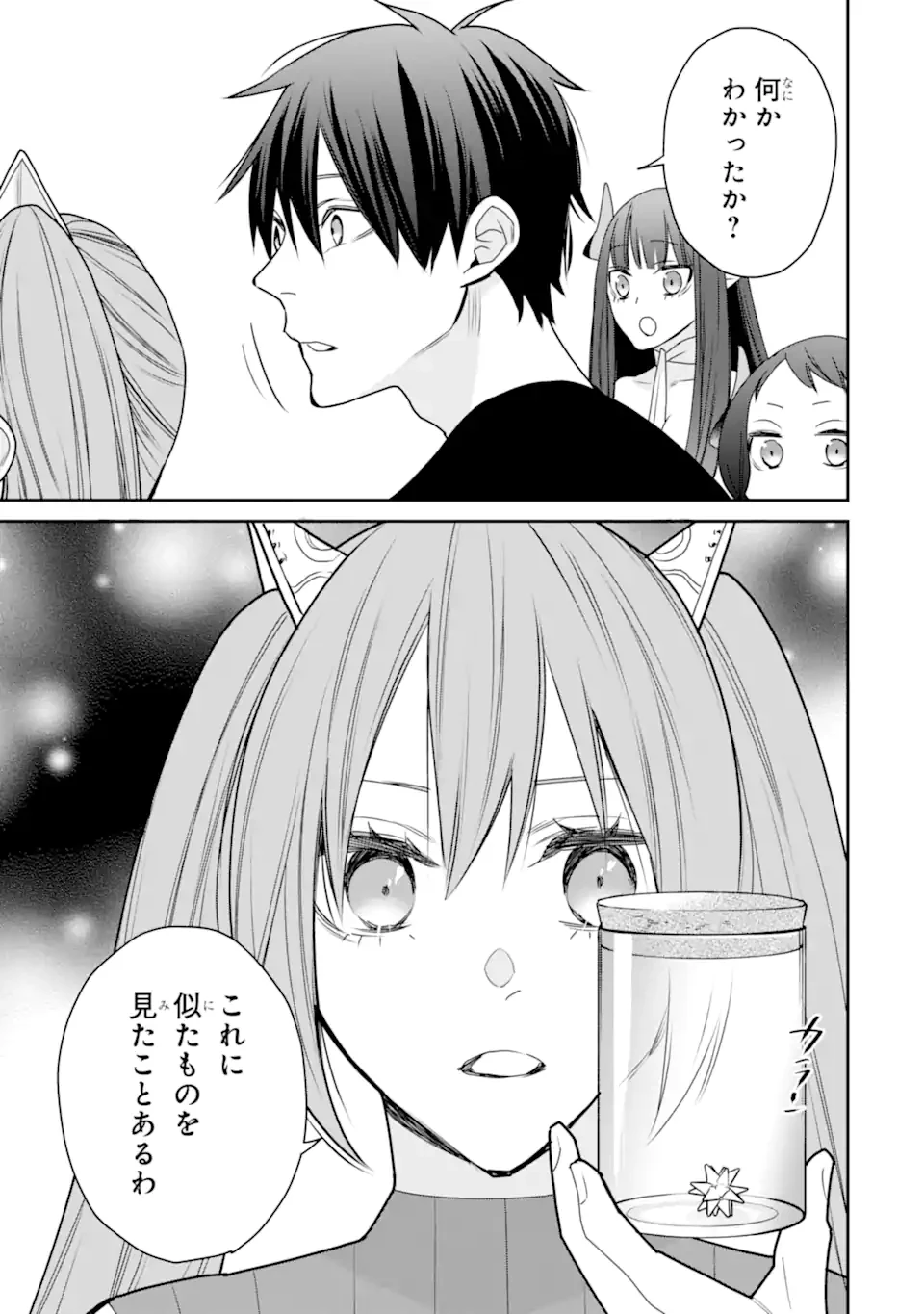 最強の魔導士。ひざに矢をうけてしまったので田舎の衛兵になる 第50.3話 - 10
