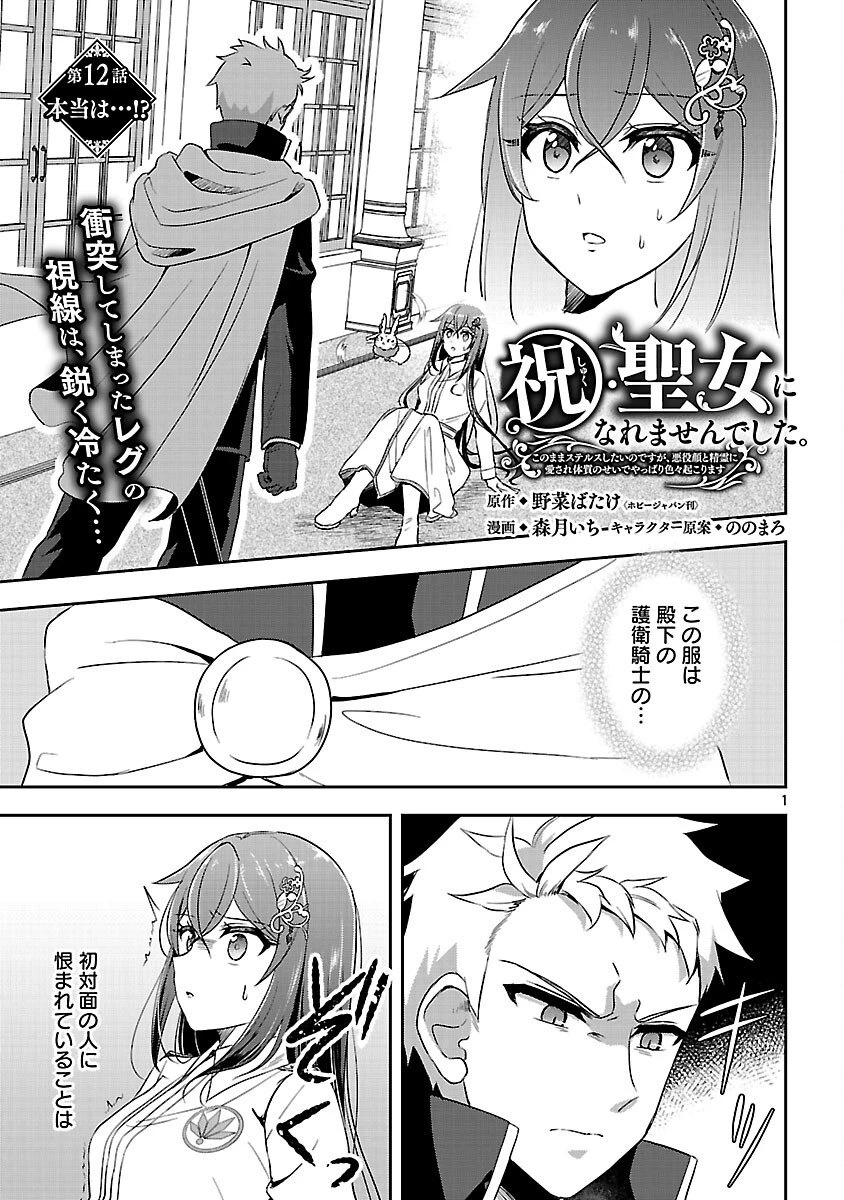 祝・聖女になれませんでした。 このままステルスしたいのですが、悪役顔と精霊に愛され体質のせいでやっぱり色々起こります 第12話 - 3