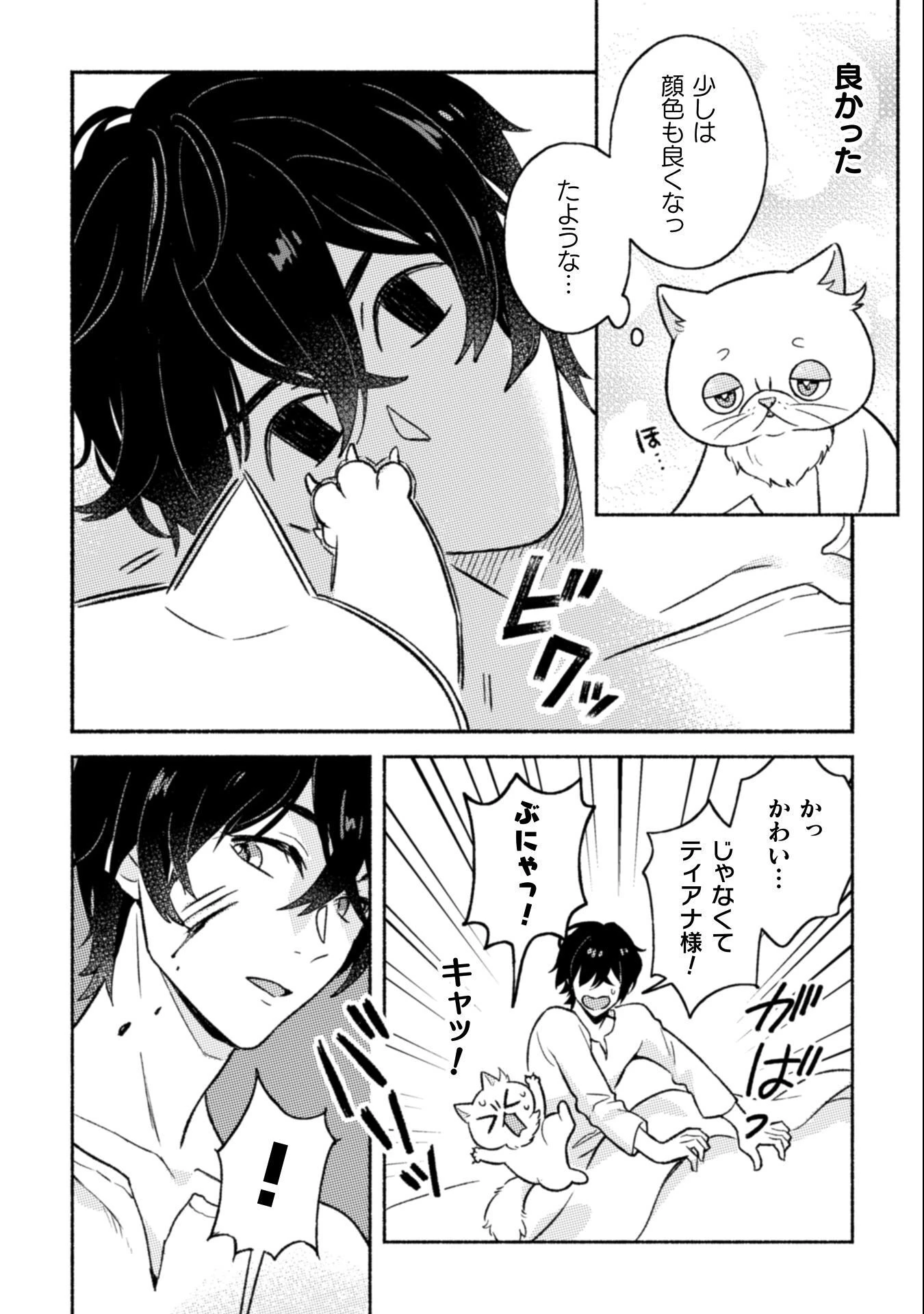 根暗騎士による溺愛満喫中のブサ猫、実は聖女です! 第10話 - 6