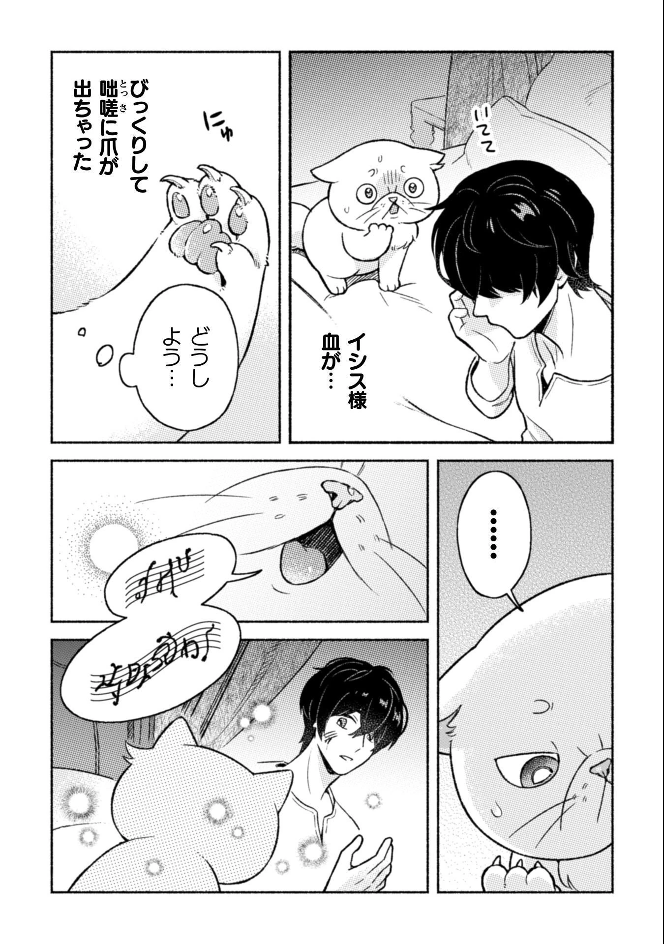 根暗騎士による溺愛満喫中のブサ猫、実は聖女です! 第10話 - 7