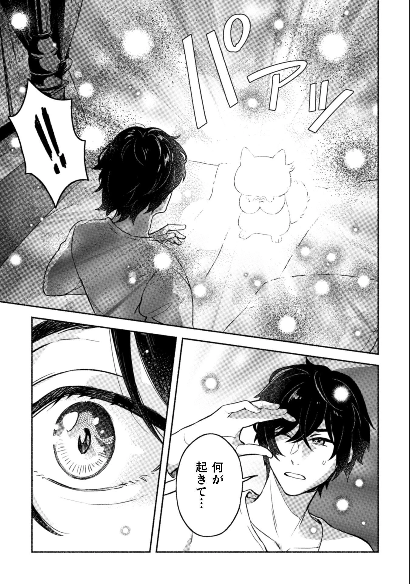 根暗騎士による溺愛満喫中のブサ猫、実は聖女です! 第10話 - 13