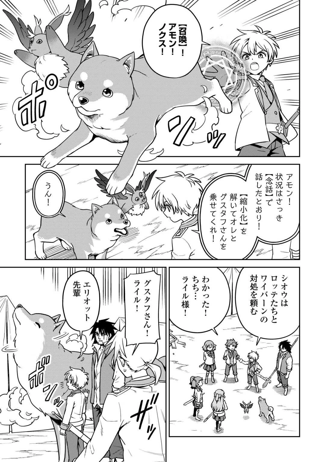 異世界じゃスローライフはままならない～聖獣の主人は島育ち～ 第34話 - 9