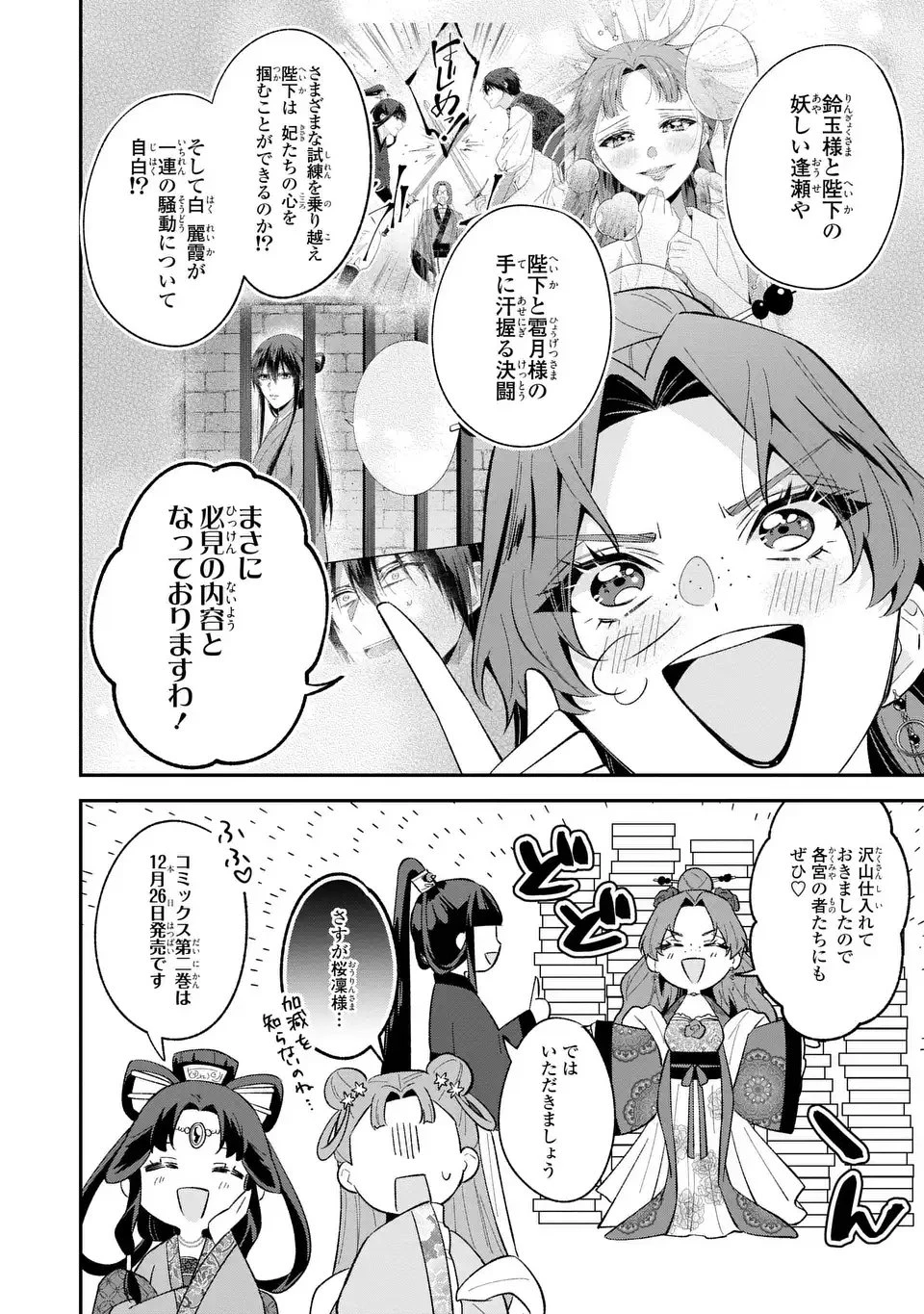 身代わり皇帝の憂鬱～後宮の侍女ですが、入れ替わった皇帝に全てを押しつけられています～ 第12.5話 - 2