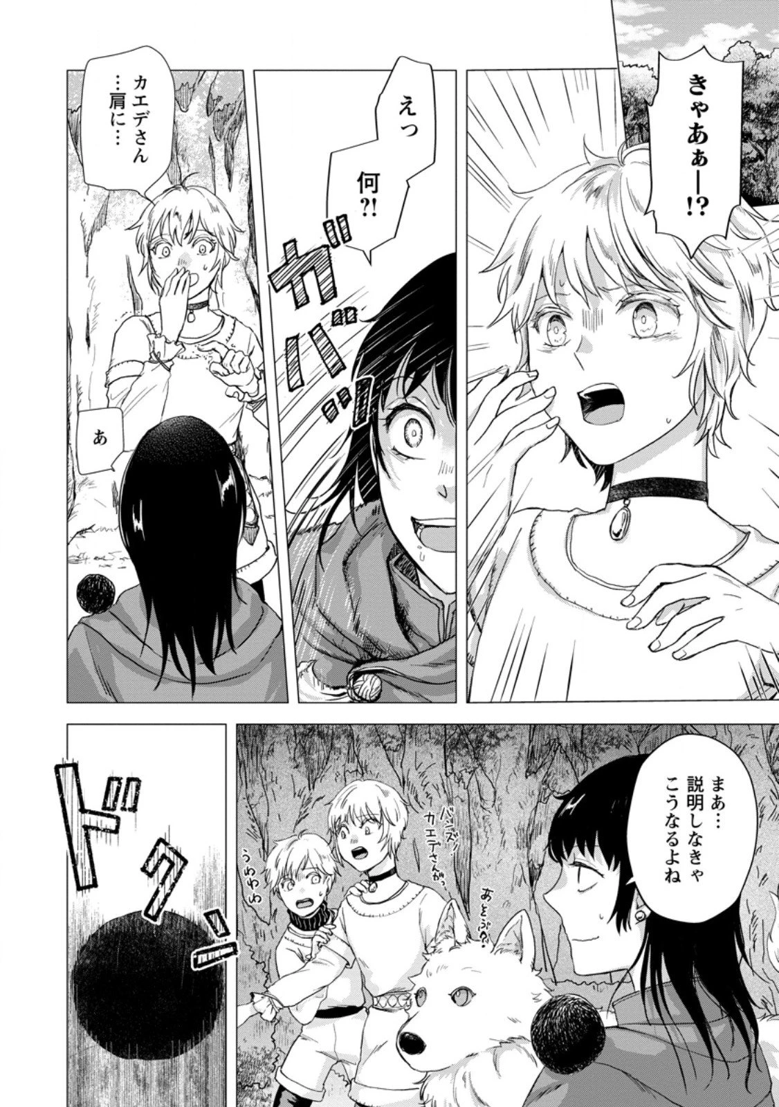 一人キャンプしたら異世界に転移した話 第22.3話 - 10